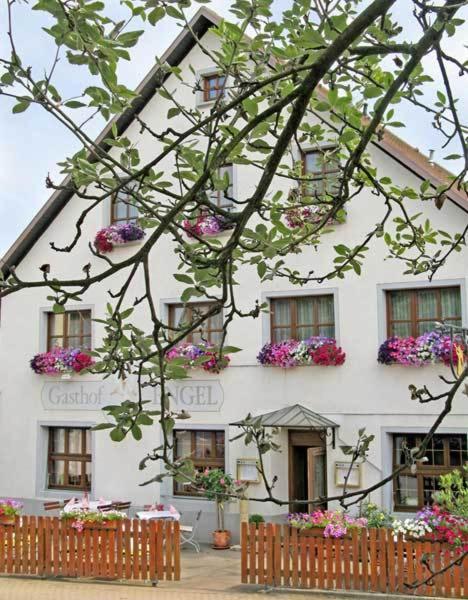 Hotel Restaurant Engel Pfaffenweiler Exteriör bild